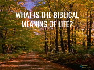 Biblical Meaning of Life Is the Expression of the Risen Jesus in You