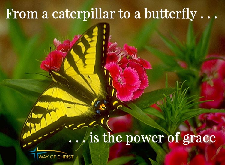 The transformation of a caterpillar to a butterfly illustrates the power of grace