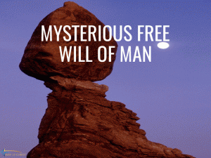 Mysterious Free Will of Man and the Sovereign Will of God