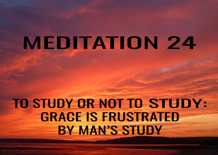 Day 24: To Study or Not to Not Study: Grace is Frustrated by Man's Study