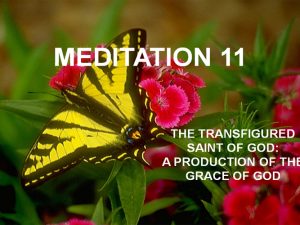 Day 11: Transfigured Saint of God – A Production of the Grace of God