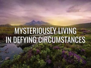 Mysteriously Living in Defying Circumstances