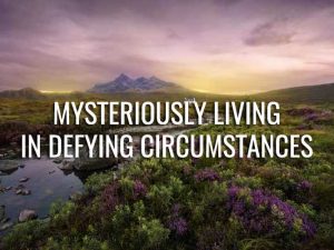 Mysteriously Living in Defying Circumstances