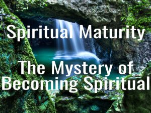 Spiritual Maturity: the Search for the Joy of the Lord in Living Life